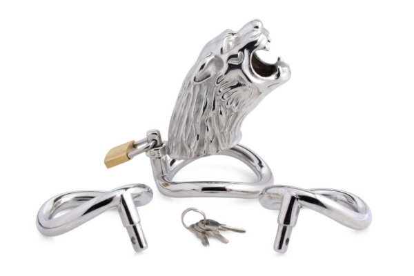 Клетка для члена Master Series Tiger King Cock Cage With Lock