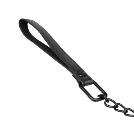Ошейник с поводком Bedroom Fantasies Collar & Leash || 