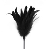 Щекоталка черная Art of Sex - Feather Paddle, перо молодого петуха || 