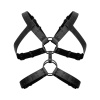 Портупея Bedroom Fantasies Rocco Masculine Masterpiece - Black || 