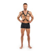 Портупея Bedroom Fantasies Rocco Masculine Masterpiece - Black || 