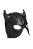 Маска Master Series Dungeon Demon Bondage Mask with Horns - Black || 
