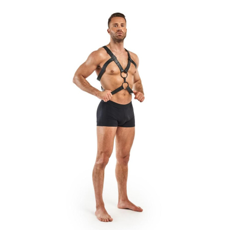 Портупея Bedroom Fantasies Rocco Masculine Masterpiece - Black || 