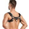 Портупея Bedroom Fantasies Bruno Chest Bulldog Harness - Black || 